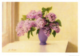 Lilacs