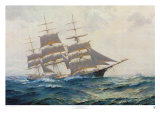 Toward Far Horizons, Ship Triumphant