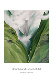 Waterfall No. 3, 'Iao Valley