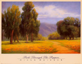 Path Through the Poppies