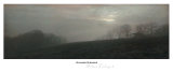 Bordeaux Landscape I