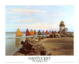 The Rainbow Fleet