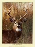 Buy Power and Grace at AllPosters.com