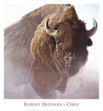 Chief