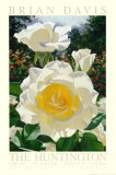 Buy The Huntington Rose Garden at AllPosters.com