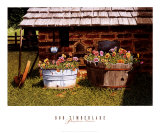Buy Pumphouse Pansies at AllPosters.com