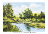Buy The Pond at AllPosters.com
