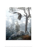 Shrouded Forest