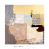 Cliff Tide I