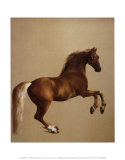 Whistlejacket