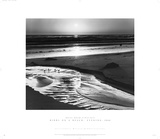 Buy Birds on a Beach at AllPosters.com