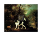 Buy Nelson with a Terrier at AllPosters.com