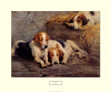 Buy After the Hunt at AllPosters.com