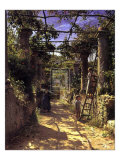 Pergola Harvest
