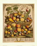 Fruits of the Season, Summer Art Print