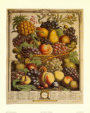 Fruits of the Season, Winter