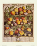 Fruits of the Season, Autumn