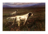 Buy Setters on the Moors at AllPosters.com