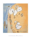 Swans
