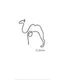 The Camel Art Print