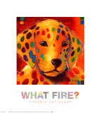 What Fire