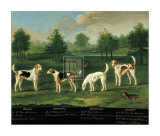Two Couples of Hounds in a Park