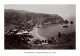 Avalon Harbor, Santa Catalina Island, California 1885