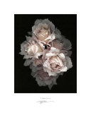 Buy Timeless at AllPosters.com