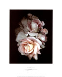 Buy Promises at AllPosters.com
