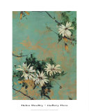 Buy Floral at AllPosters.com