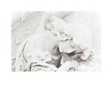 Closeup Women Angel