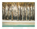 Buy Tourmaline Coast at AllPosters.com