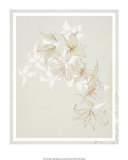 Buy Untitled at AllPosters.com