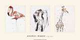 Buy Animal Magic at AllPosters.com