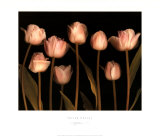 Spring Chorus