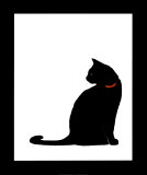 Single Black Cat