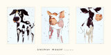 Buy Animal Magic at AllPosters.com