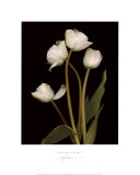 Spring Song II