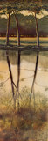 Buy Reflections of Autumn II at AllPosters.com