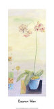 Buy Untitled at AllPosters.com