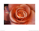 Buy Untitled at AllPosters.com