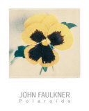 Buy Pansy at AllPosters.com