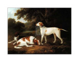 Buy Pointer and Two Spaniels in a Park at AllPosters.com