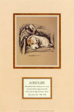 Buy Dog's Life I at AllPosters.com