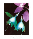 Photogram