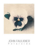 Buy Pansy at AllPosters.com