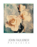 Buy Rose at AllPosters.com