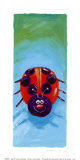 Bugs IV