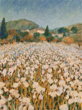 Buy Farm Near Guillaumes at AllPosters.com
