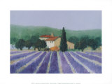 Buy Lavender Field Near St Tropez at AllPosters.com